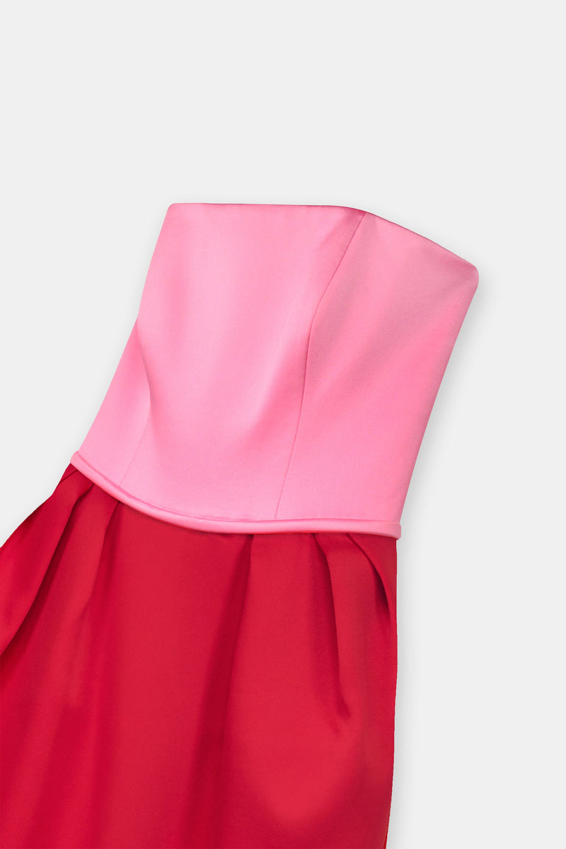 Nean Strapless Color-Block Gown Pink
